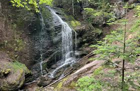 Bono / Bono East / Ahafo Regions gallery image 1