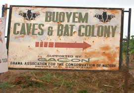 Bono / Bono East / Ahafo Regions gallery image 3