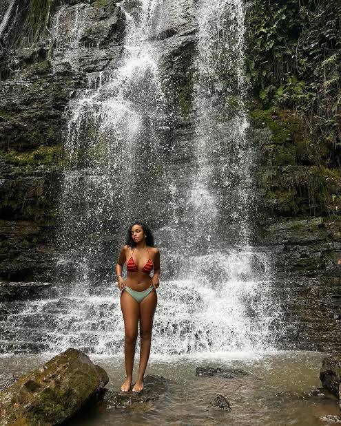 ABURI BOTANICAL GARDENS & NEW YEAR'S CELEBRATIONS 12/31/25